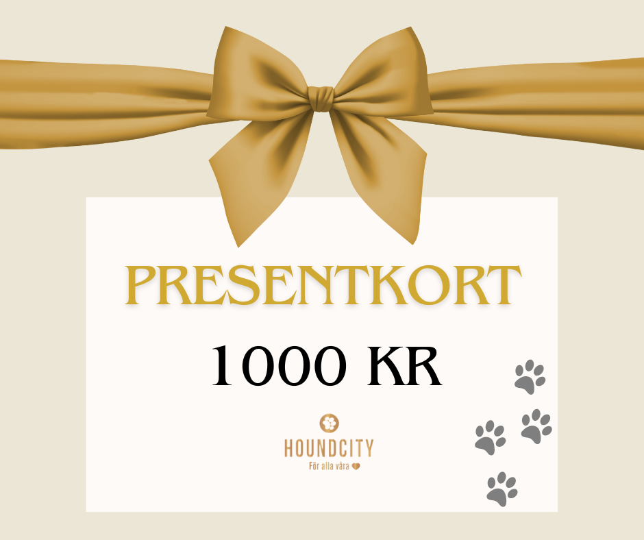 Gift Voucher 1000 SEK