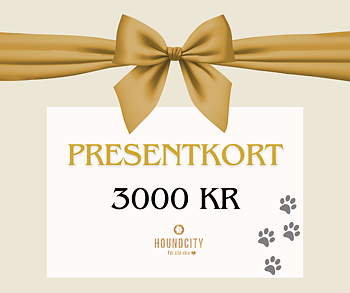 Gift Voucher 3000 SEK
