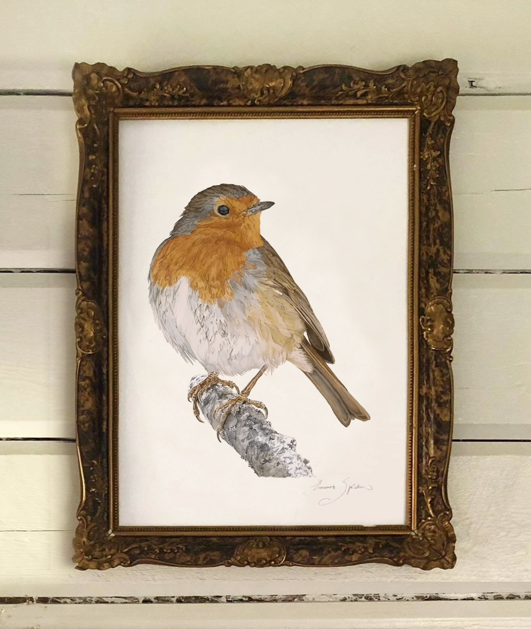 ART PRINT RED ROBIN  30x40