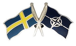 Flag Friendship Pin Sweden - NATO