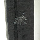 Bertil Vallien (1960s) Modern Iron Dog 35 cm SBV115