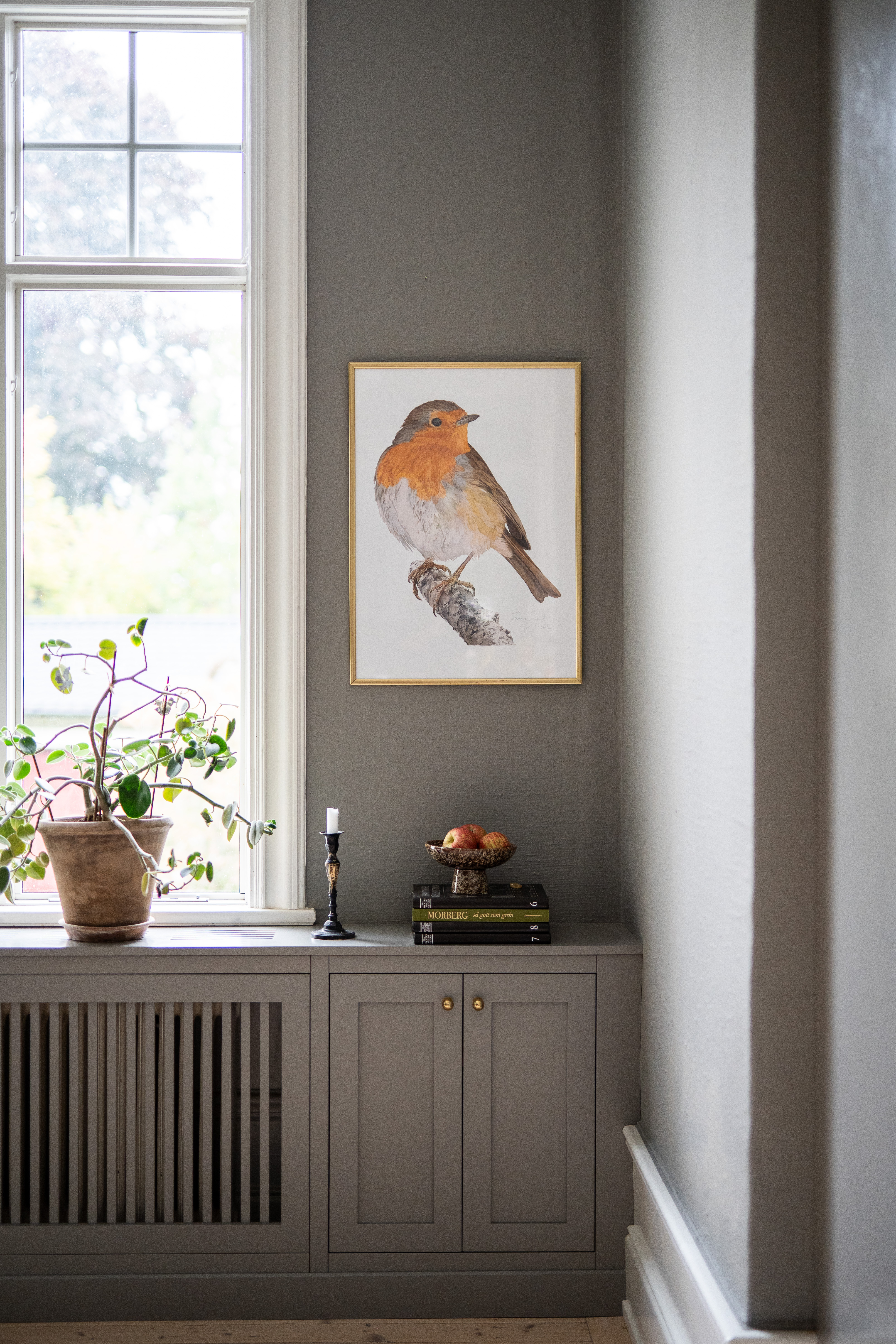ART PRINT RED ROBIN 50x70 - 3