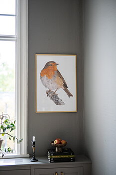 ART PRINT RED ROBIN 50x70