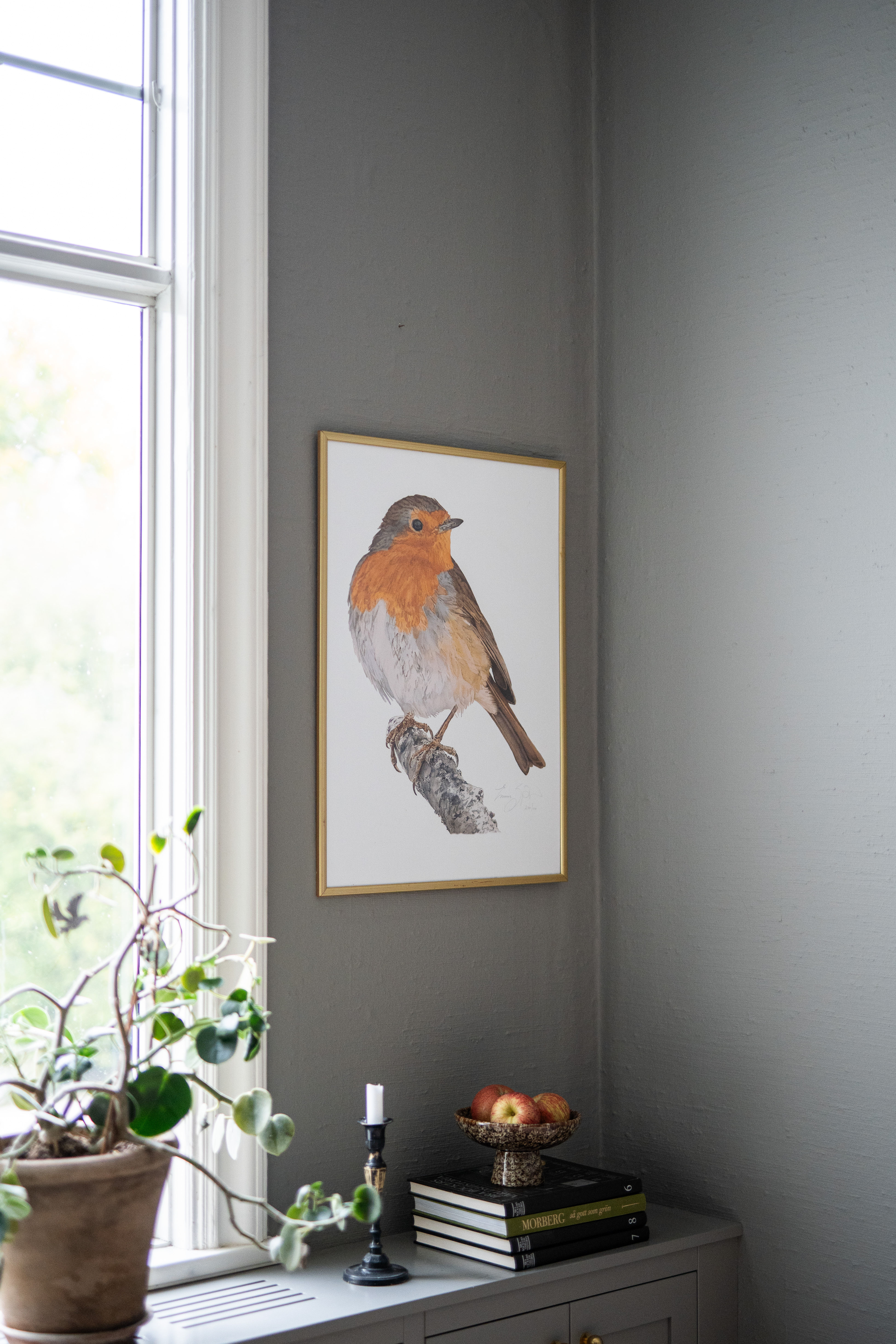 ART PRINT RED ROBIN 50x70 - 2