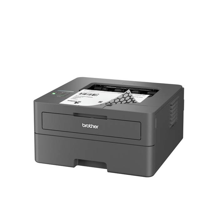 Skrivare Brother HLL2445DW - 2