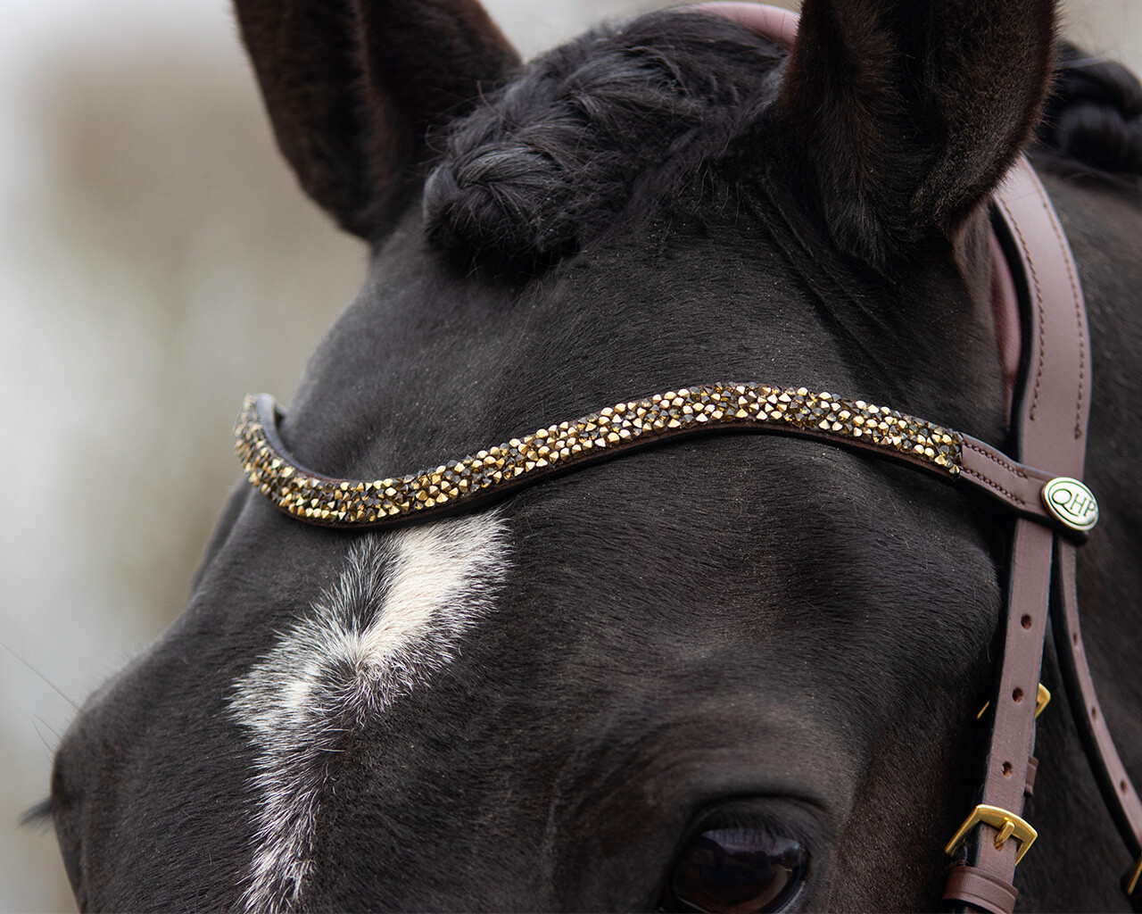 QHP Lupine Bridle - Brown/Beige