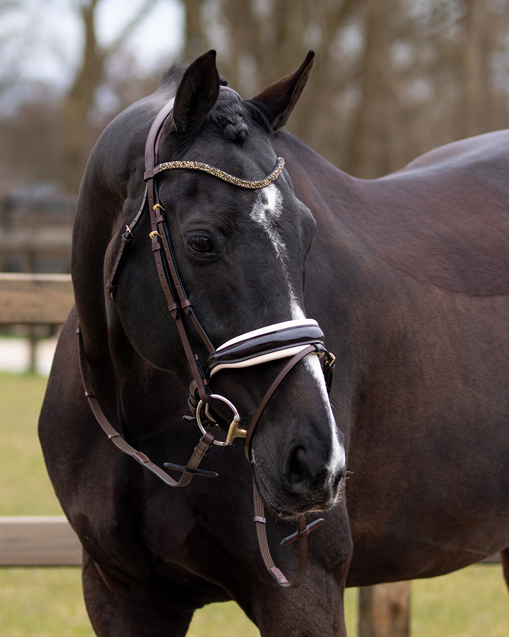 QHP Lupine Bridle - Brown/Beige