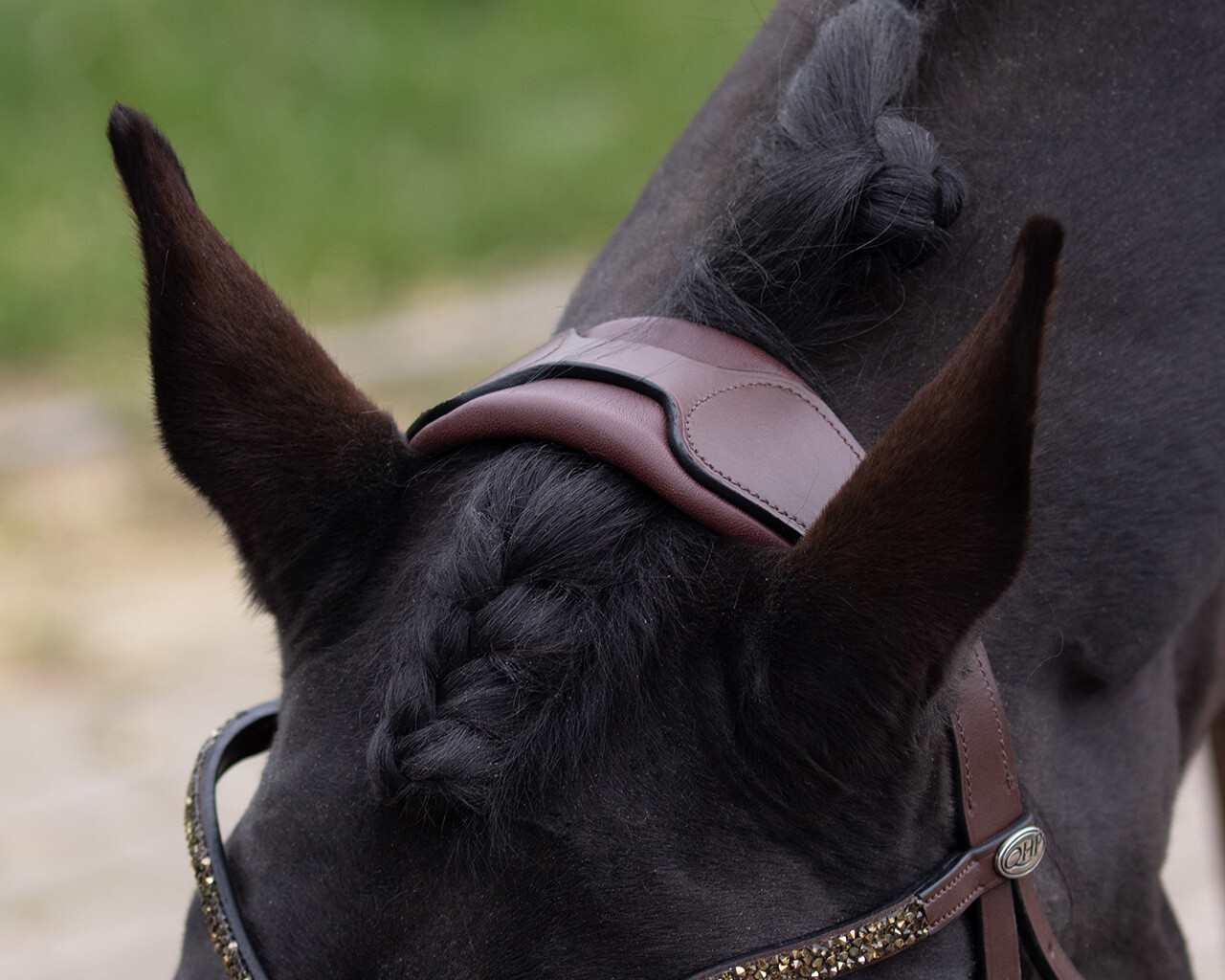 QHP Lupine Bridle - Brown/Beige