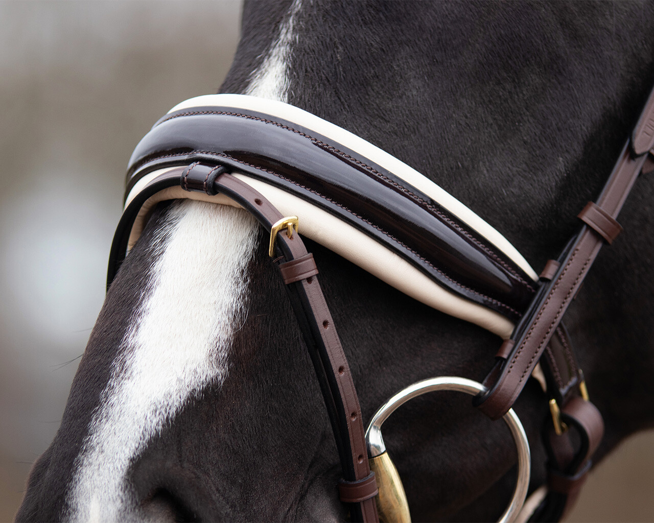 QHP Lupine Bridle - Brown/Beige