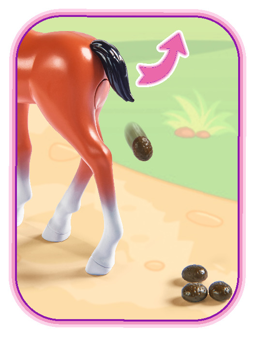 Steffi love - little horse - 5