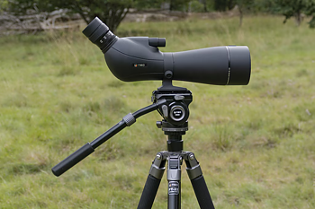 NSO Djupadal 20-60x80 ED + NSO PT22+VD22