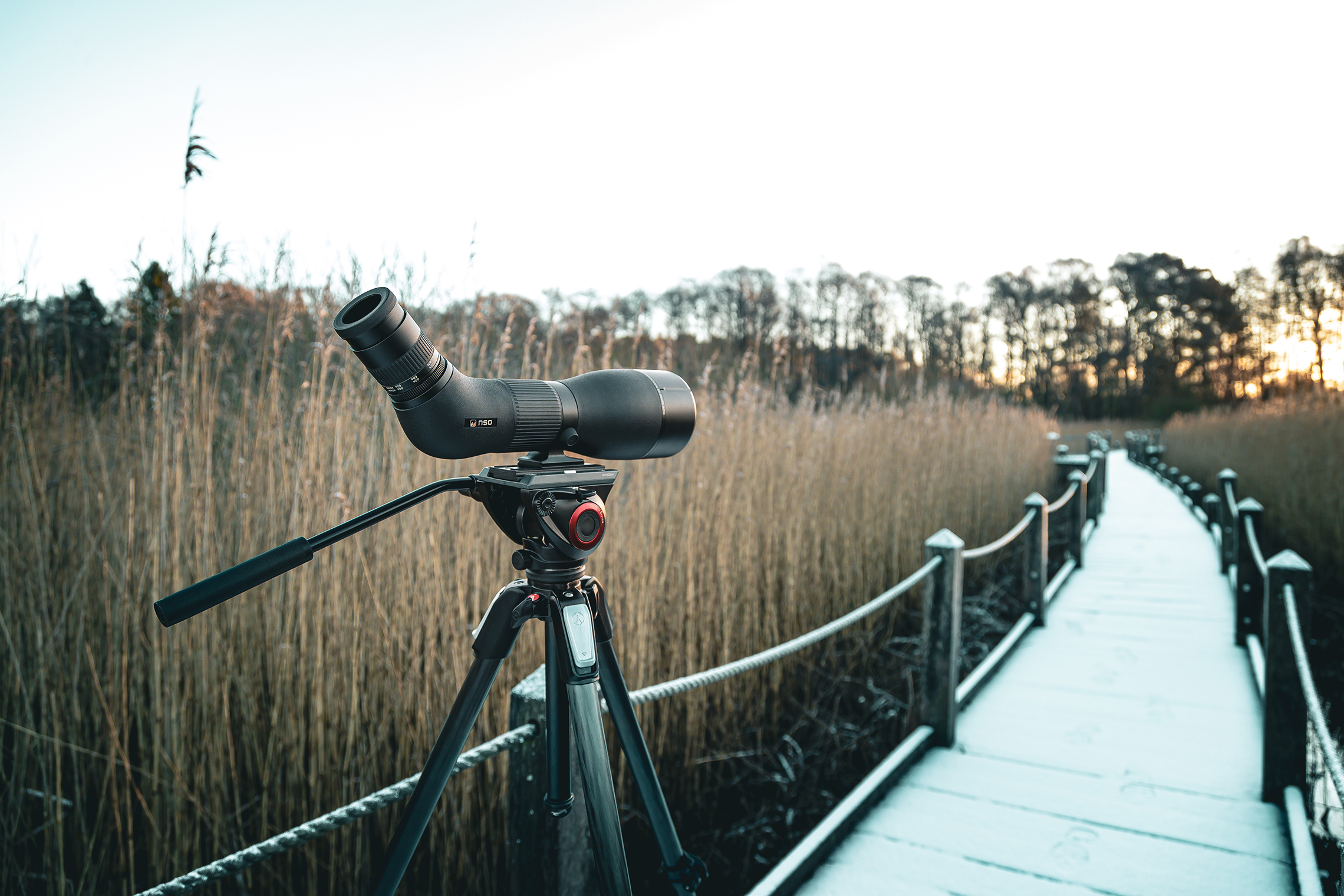 NSO Ekbacken 16-48x65 APO + Manfrotto MVH500/MT190X3 Aluminium - 7