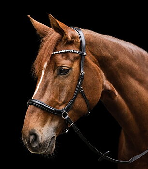 WL Sidepull / Bitless Bridle Sensitive, incl. reins