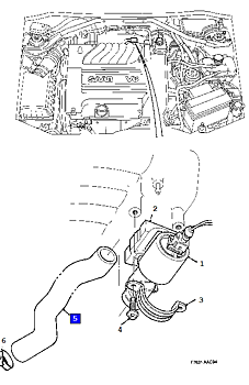  Hose LFR 900 V6 94-97
