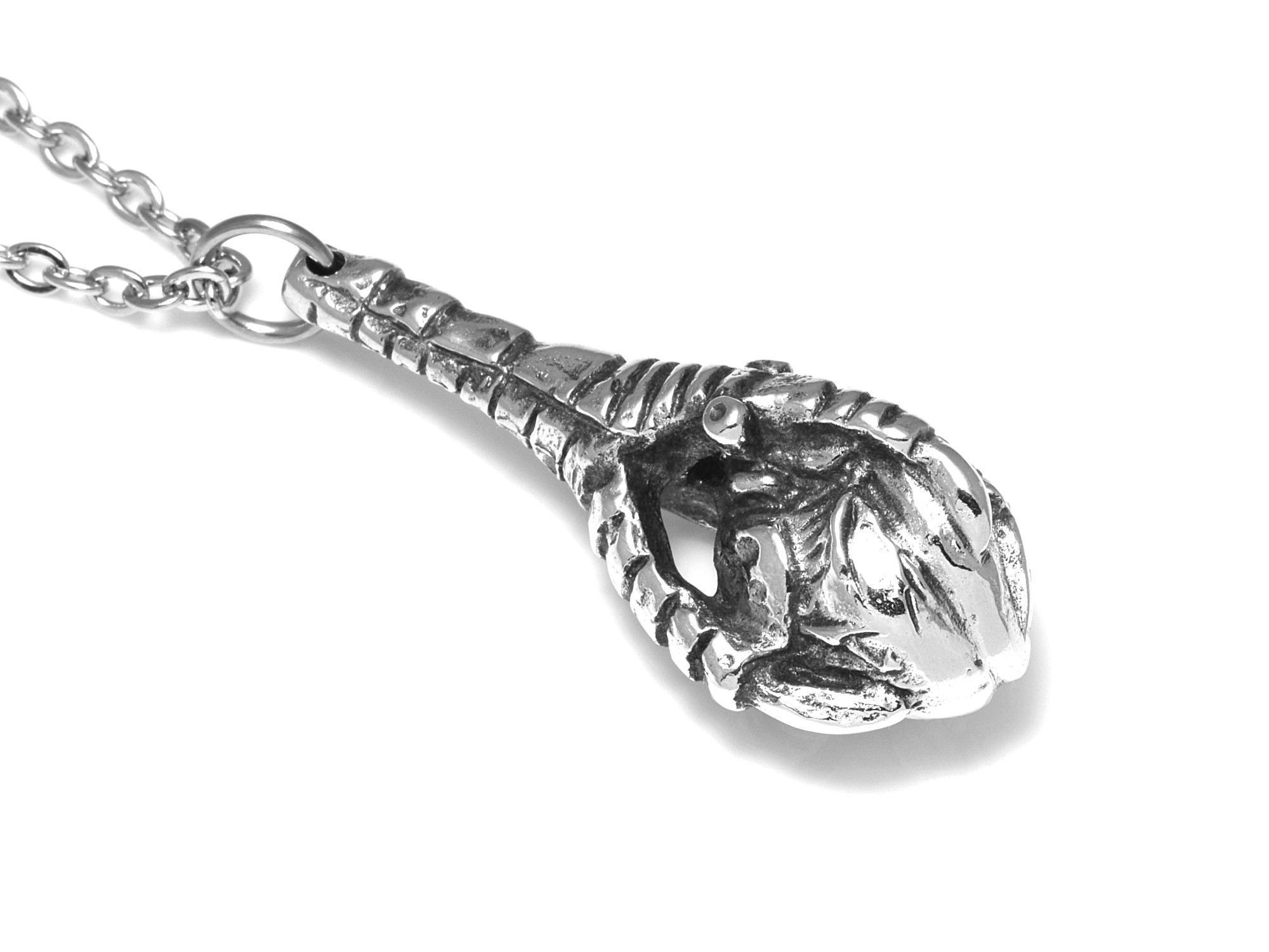 Korpklo Anatomiskt Hjärta Halsband, Fågel Smycke i Tenn - 3