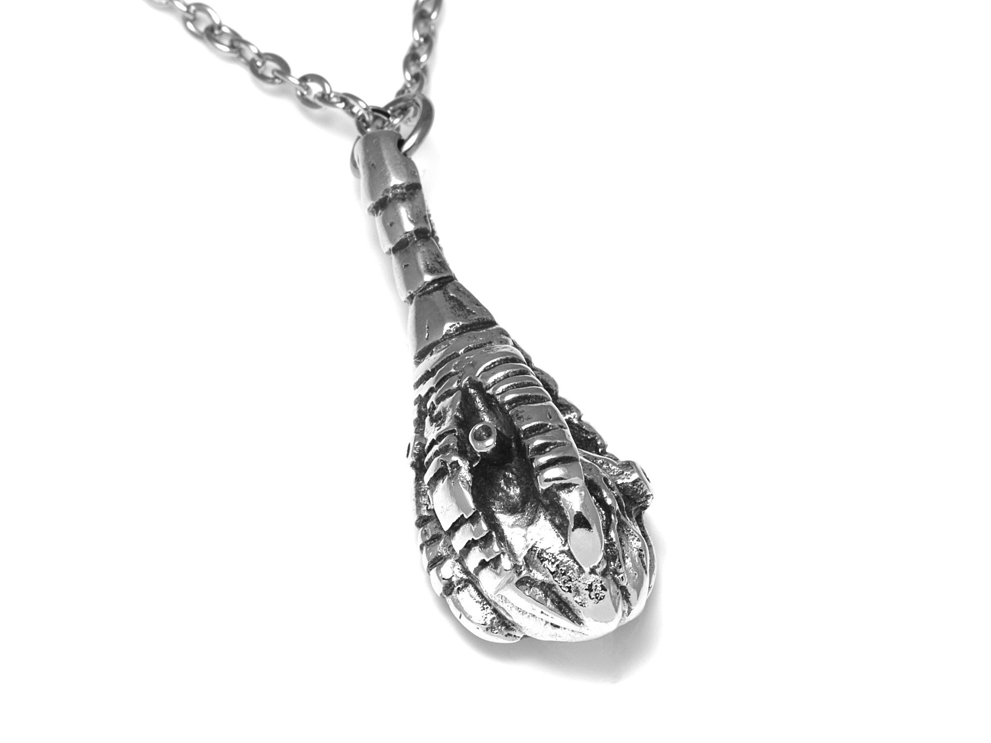 Korpklo Anatomiskt Hjärta Halsband, Fågel Smycke i Tenn - 2