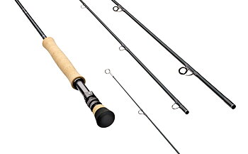 Sage R8 Saltwater