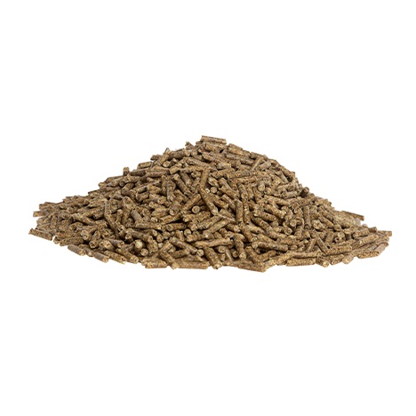 PAVO SANDCLEAR 2KG - 2