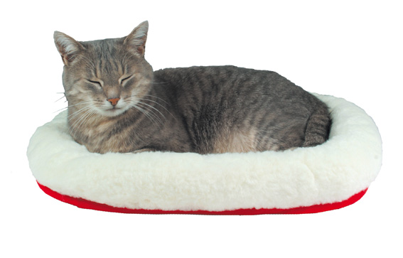 Katt bädd Cushy 45x30