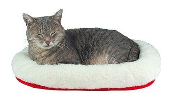 Katt bädd Cushy 45x30