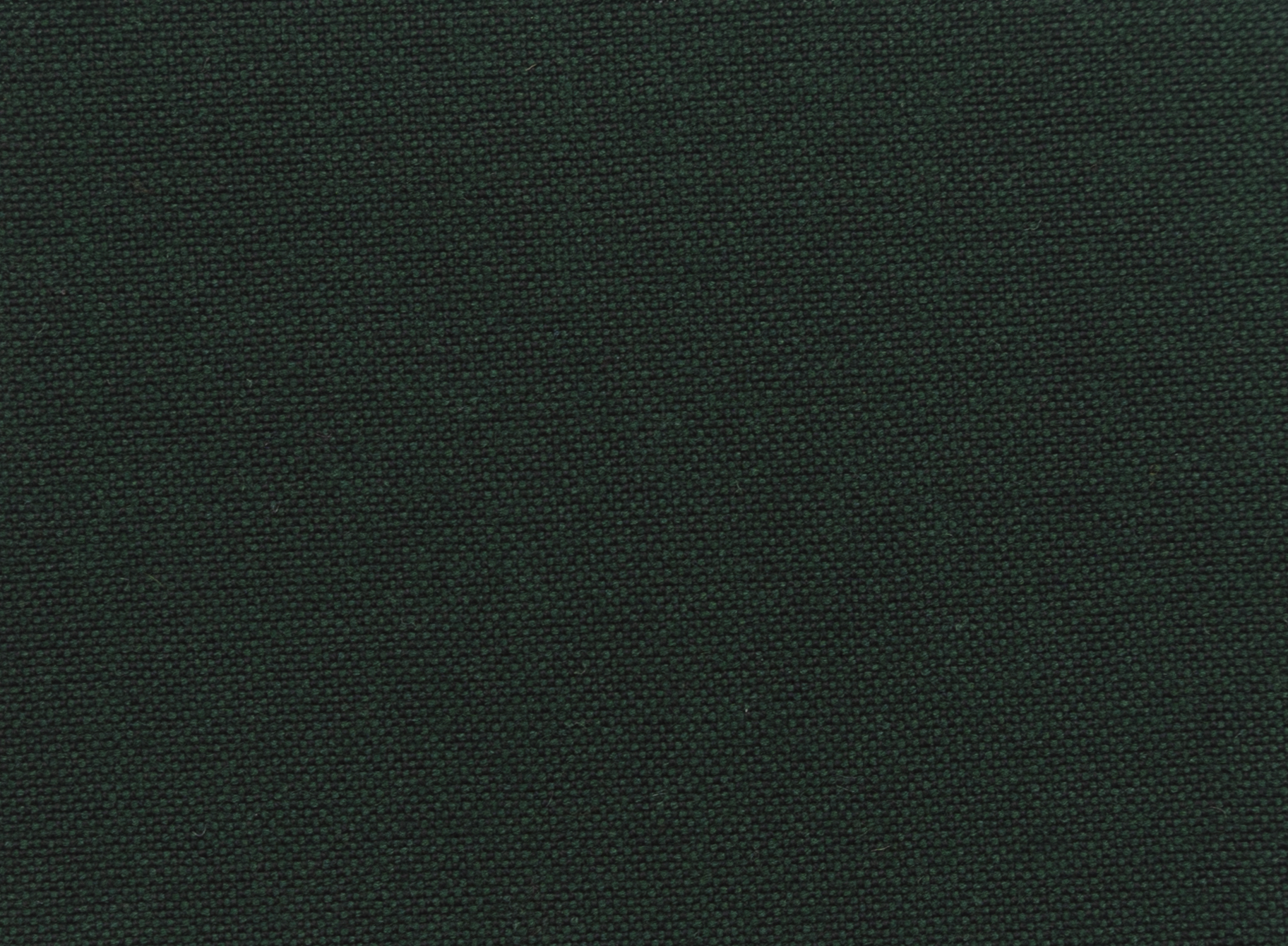 The Hepper Hepburn Slacks - 6