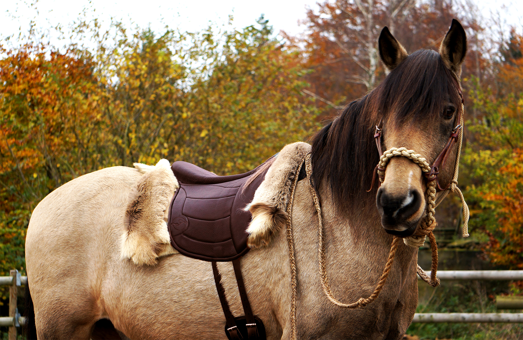 Taur Pad Supreme II with panels - Cognac - 21