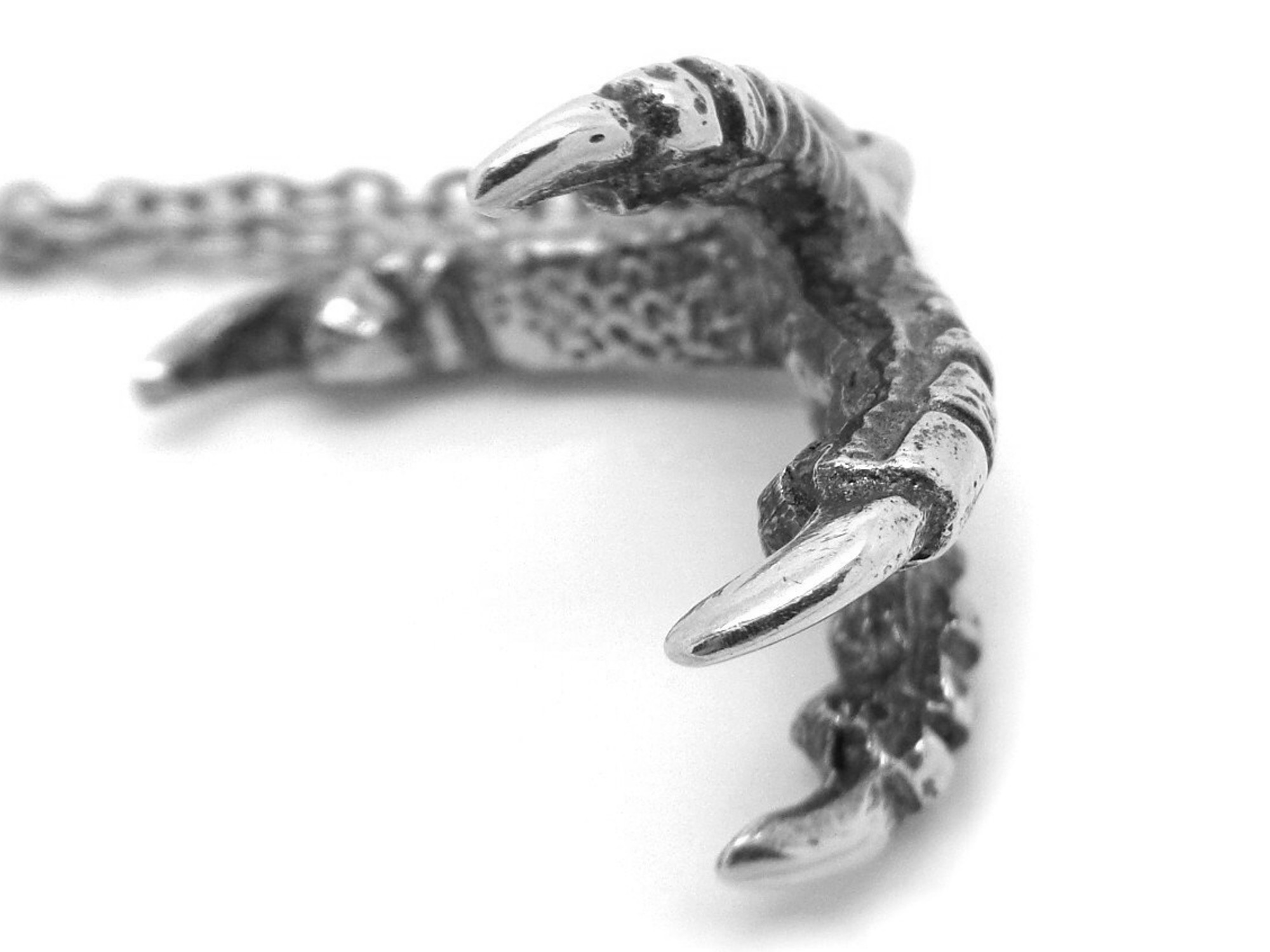 Fågelklo Halsband, Fågel Smycke i Tenn - 2
