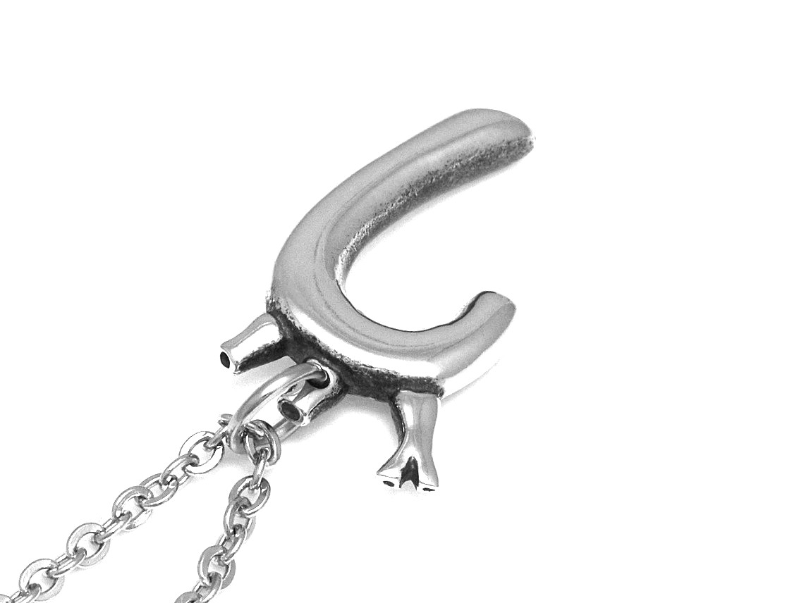Aorta Halsband, Anatomi Smycke i Tenn - 3
