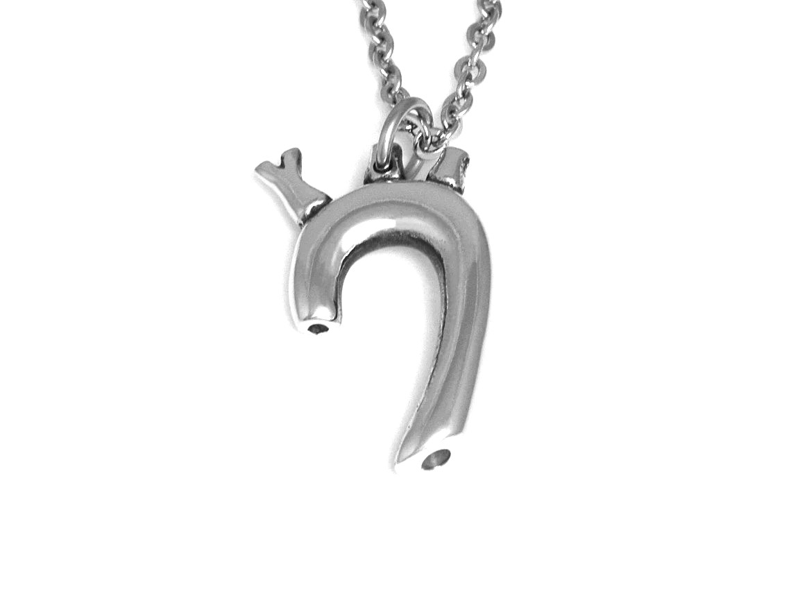 Aorta Halsband, Anatomi Smycke i Tenn - 2