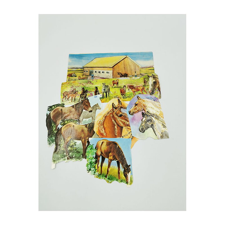 Bookmarks Second Hand - Horses