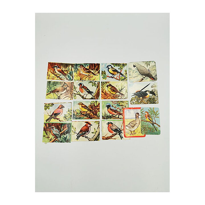 Bookmarks Second Hand - Birds Vintage