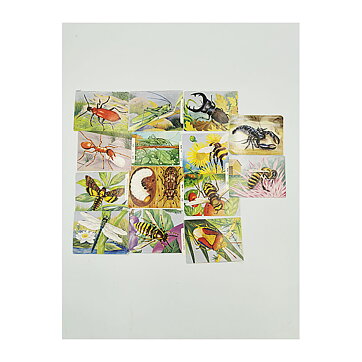 Bookmarks Second Hand - Beetles and Flies Vintage