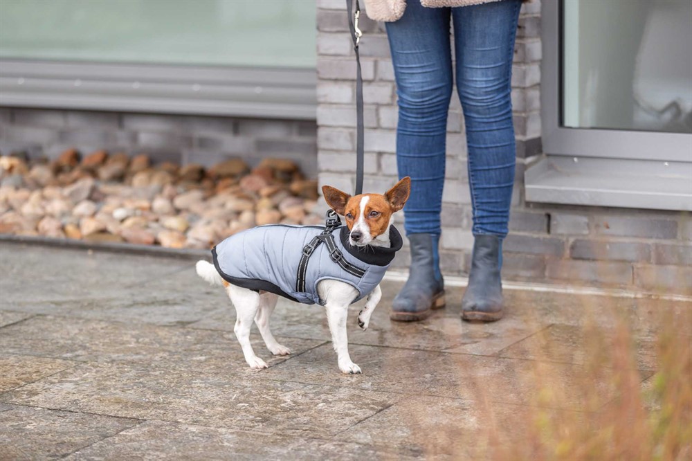 Trixie Hundtäcke Pontis, Grå - 2
