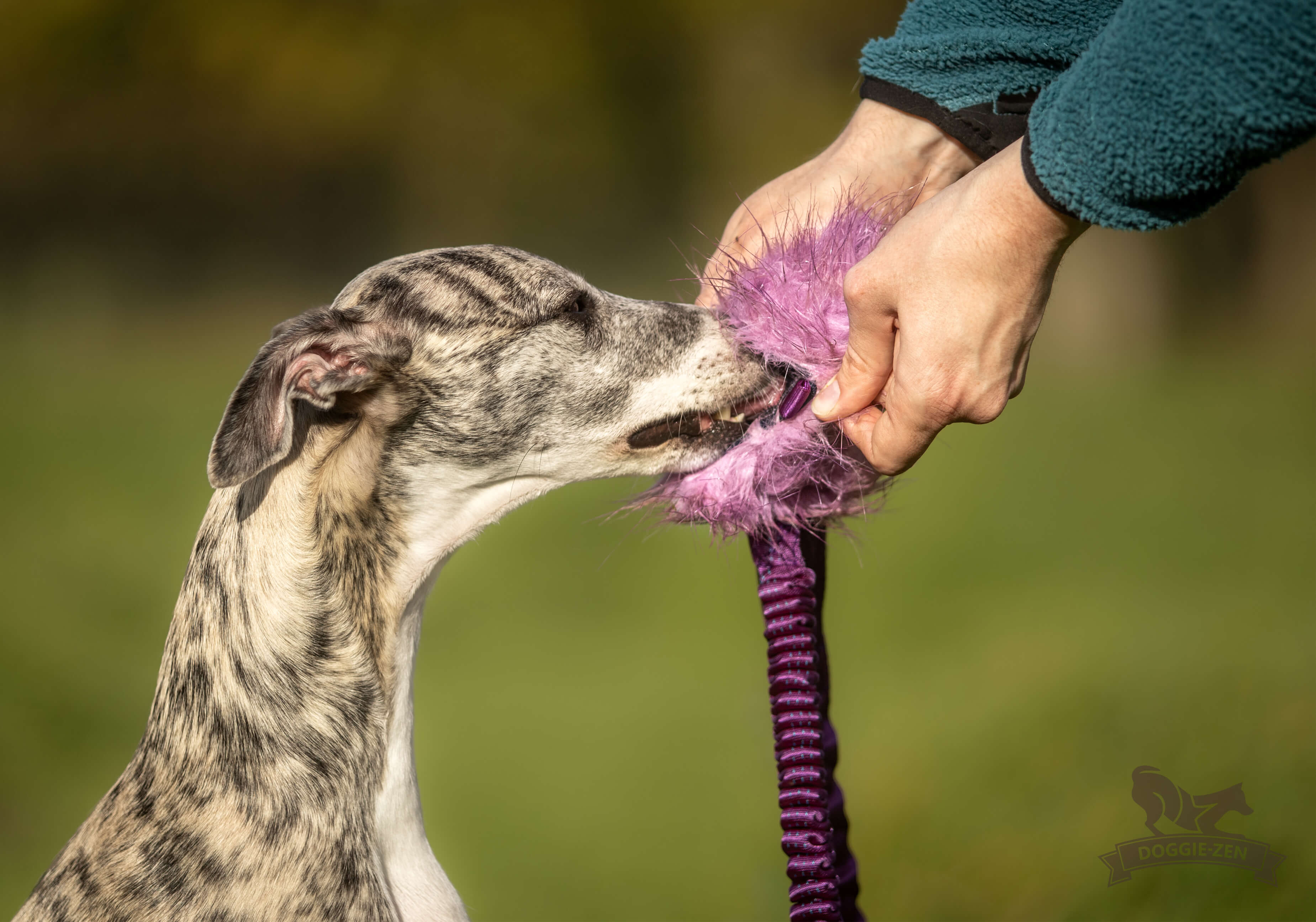 Bungee Crinkle-n-Treat Chaser Tug Fake Fur  M - 5
