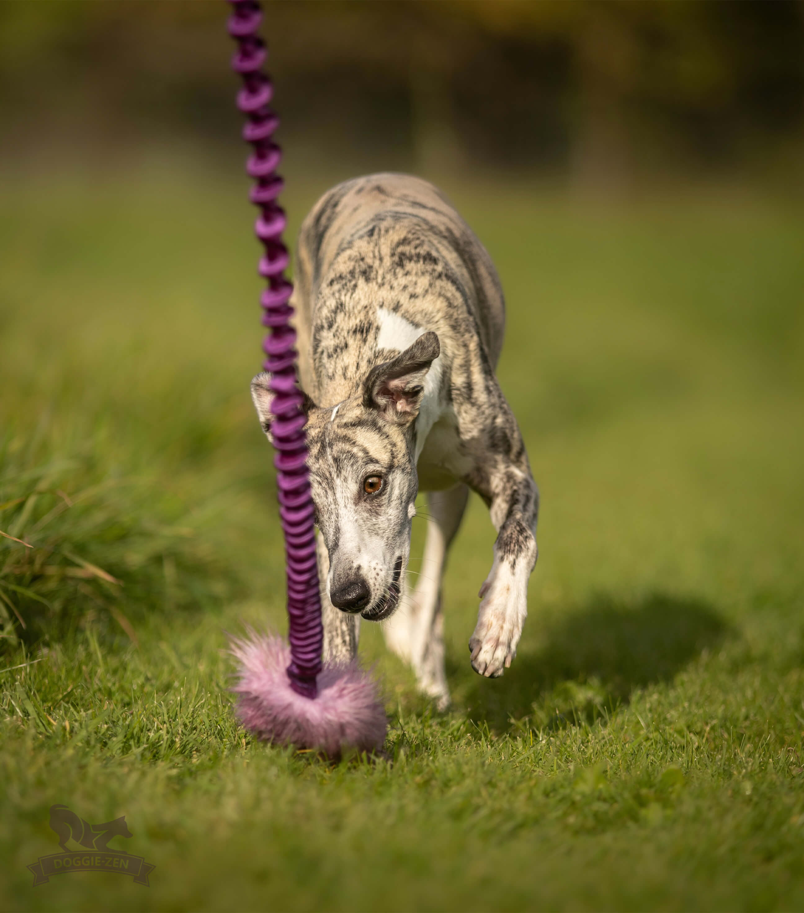Bungee Crinkle-n-Treat Chaser Tug Fake Fur  M - 4