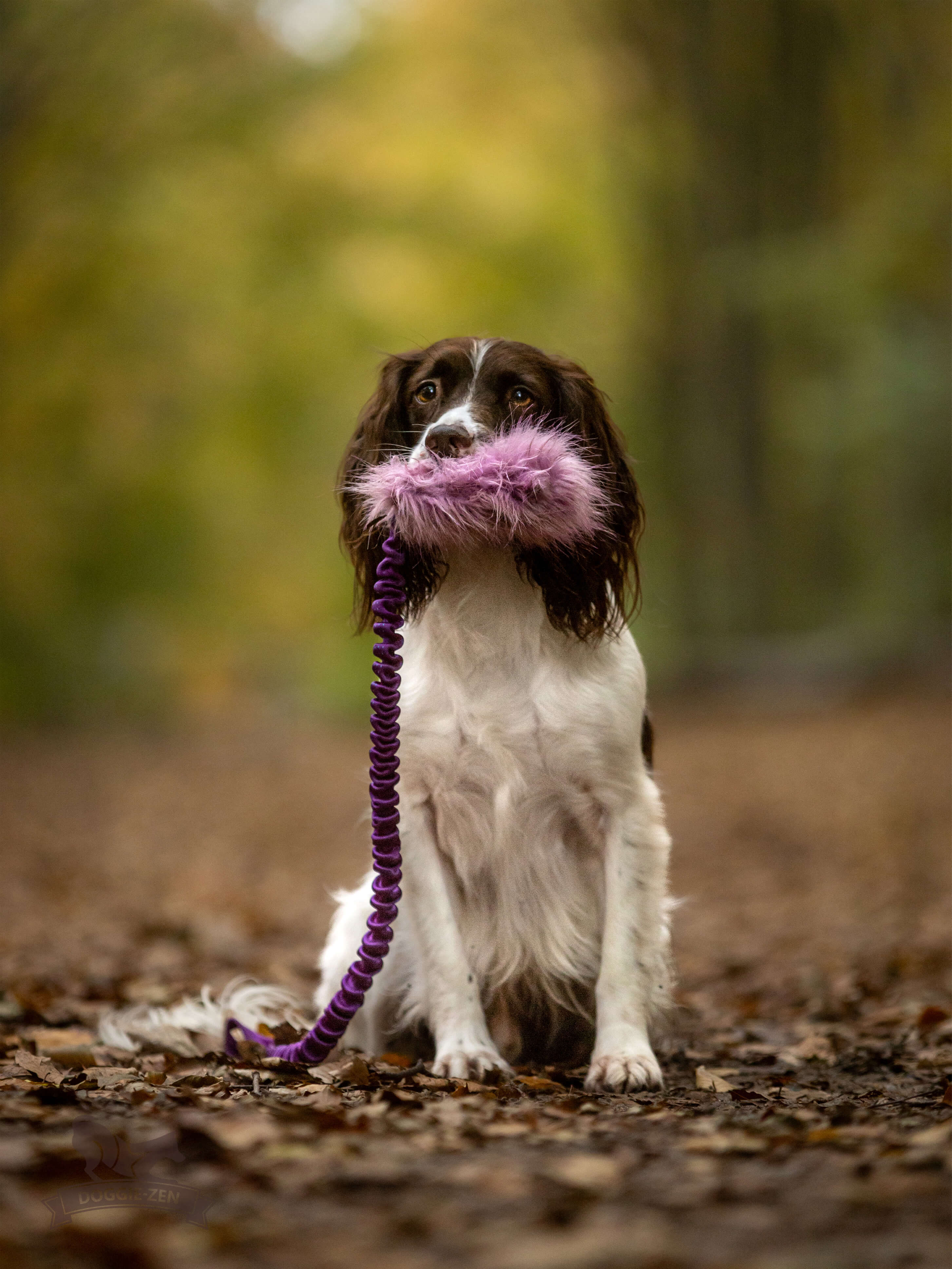 Bungee Crinkle-n-Treat Chaser Tug Fake Fur  M