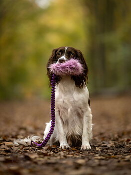 Bungee Crinkle-n-Treat Chaser Tug Fake Fur  M