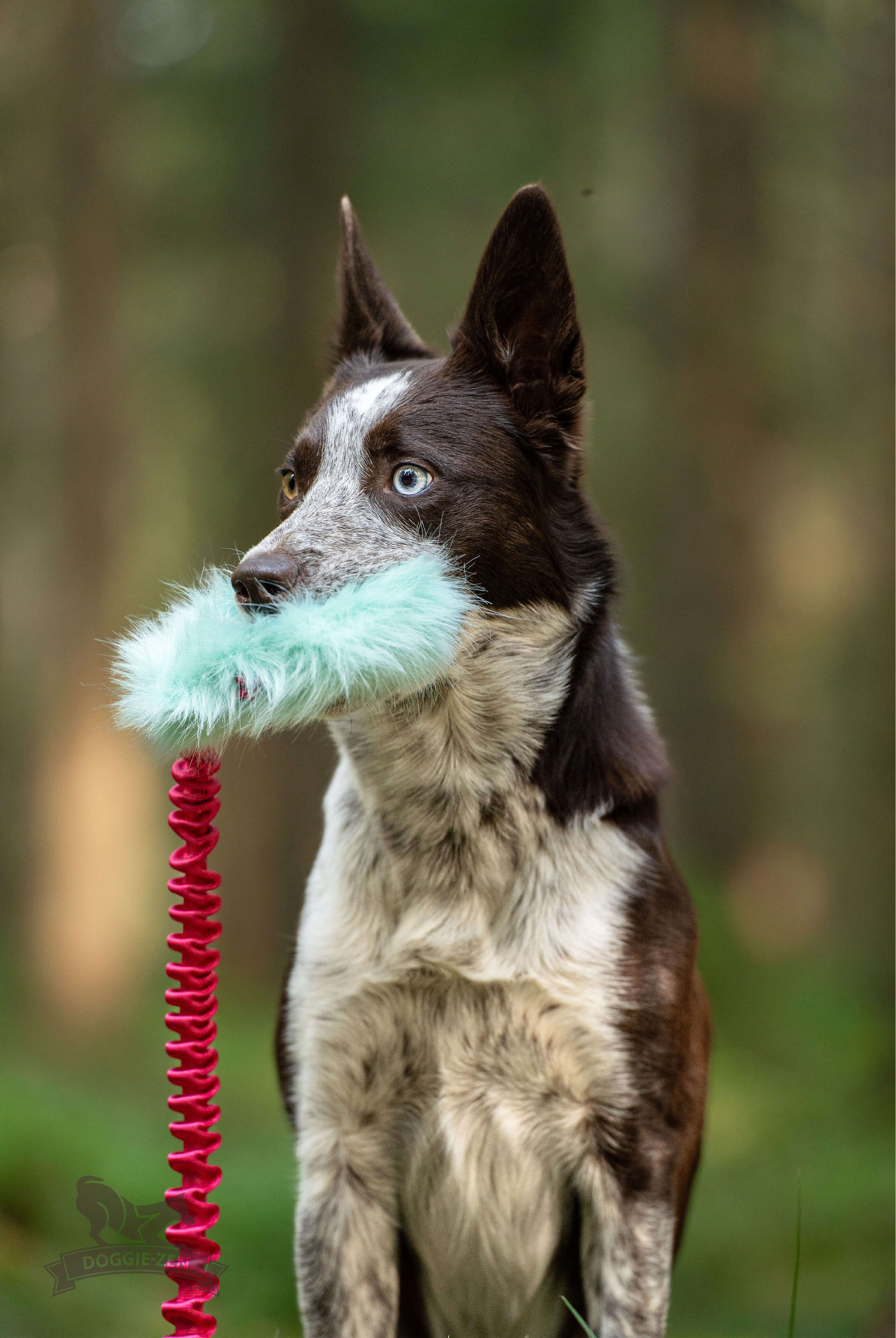 Bungee Crinkle-n-Treat Chaser Tug Fake Fur  M - 9