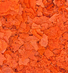 Ocean Nutrition - Formula One Flake 71g