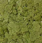 Ocean Nutrition - Formula Two Flake 71g