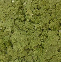 Ocean Nutrition - Formula Two Flake 71g