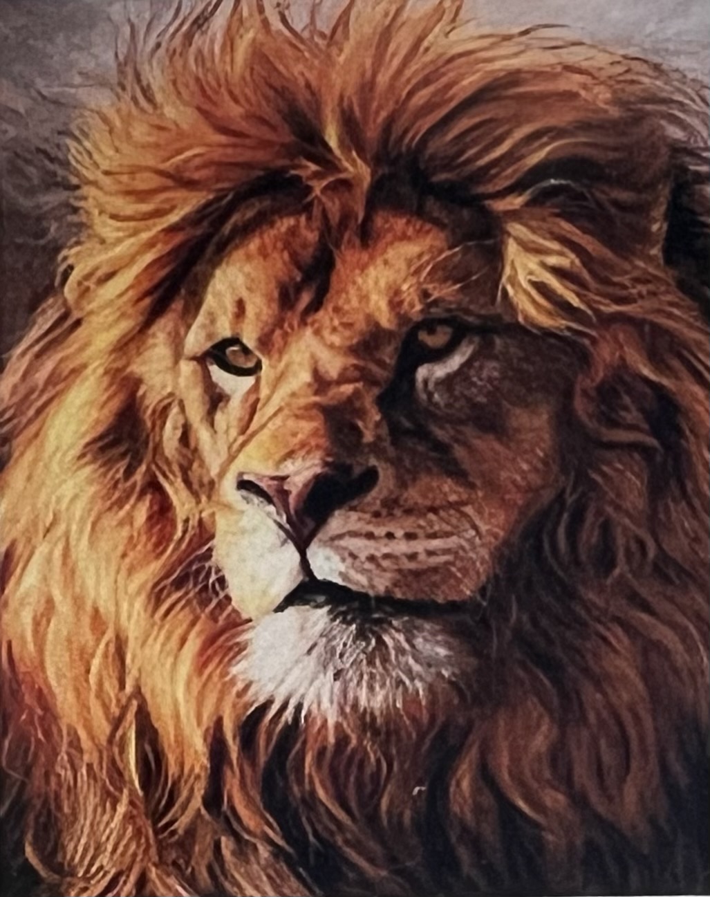 Lejonhuvud,  Diamond Picture Diamond Painting