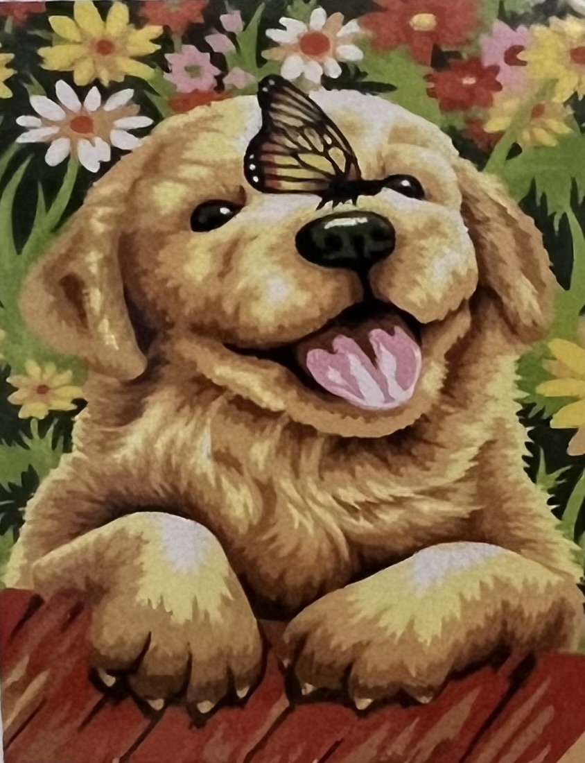Labradorvalp,  Diamond Picture Diamond Painting