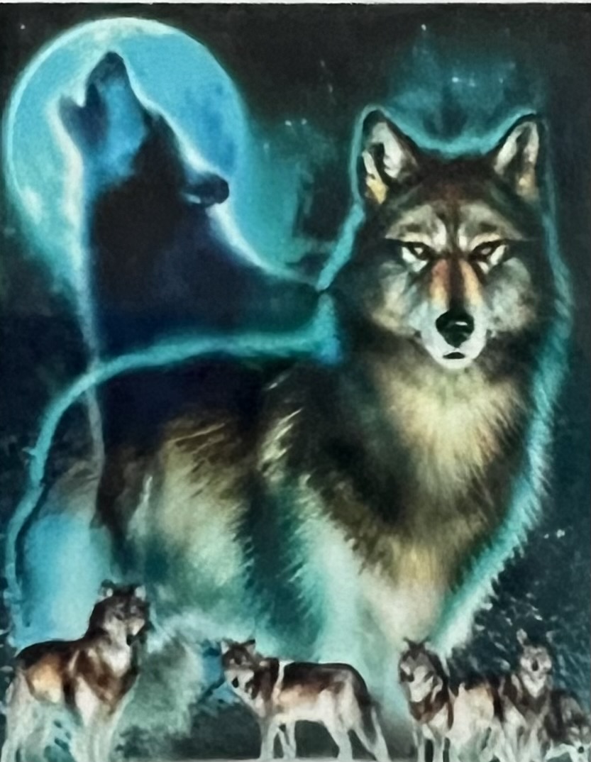 Vargflock i Månsken,  Diamond Picture Diamond Painting