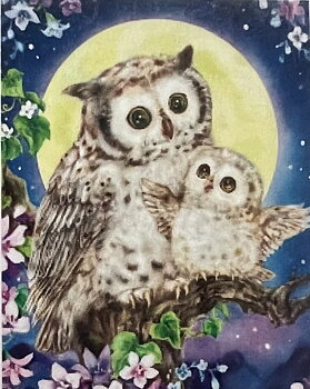 Ugglor,  Diamond Picture Diamond Painting