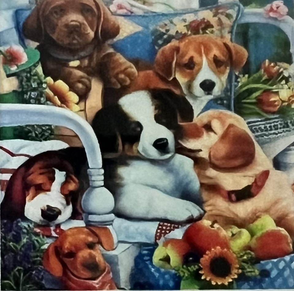 Valpmys,  Diamond Picture Diamond Painting