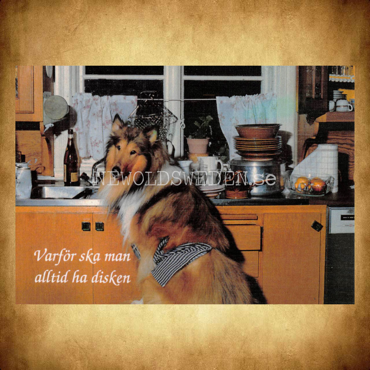 Varför ska man alltid ha disken - Vykort A5 - 2