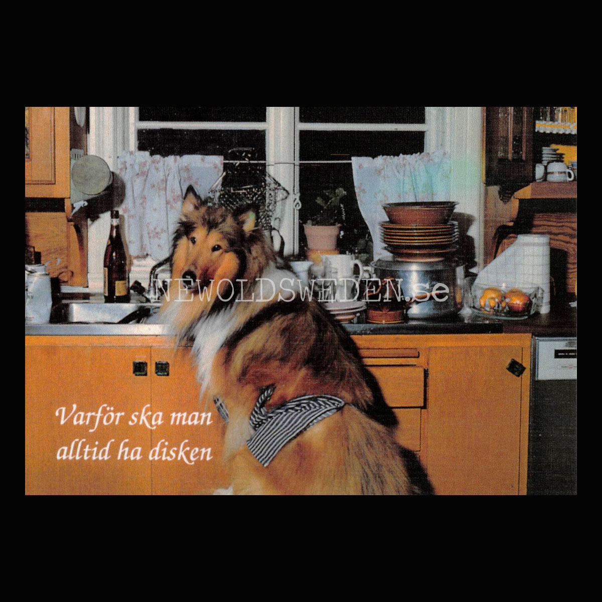 Varför ska man alltid ha disken - Vykort A5