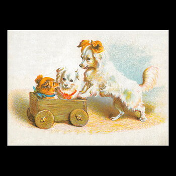 Hund och Katt - Vykort A5
