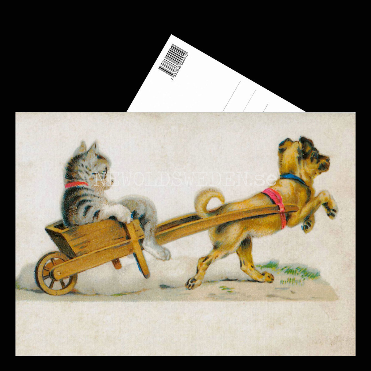 Hund och Katt - Vykort A5 - 3